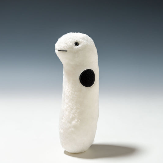 内藤デザイン研究所 ぬいぐるみ 海中散歩 おともだちブービー チンアナゴ 正面