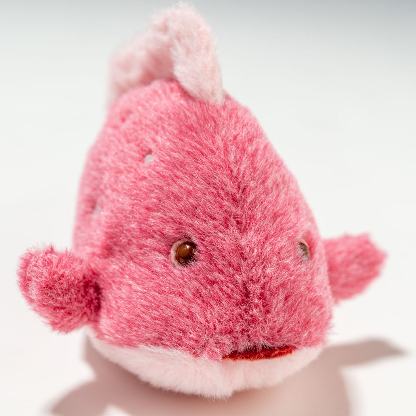 内藤デザイン研究所 ぬいぐるみ 海中散歩 ぽちゃまる さくらシリーズ Sサイズ サクラダイ 右横顔