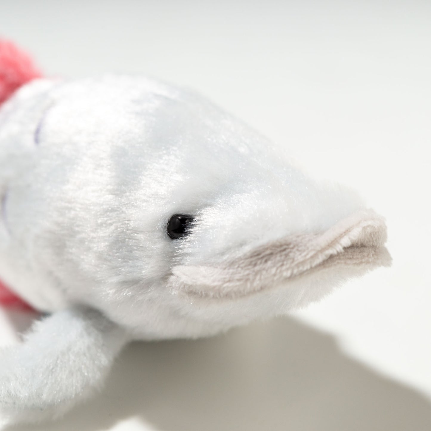 内藤デザイン研究所 ぬいぐるみ 海中散歩 ぽちゃまる Sサイズ ピラルク右横顔