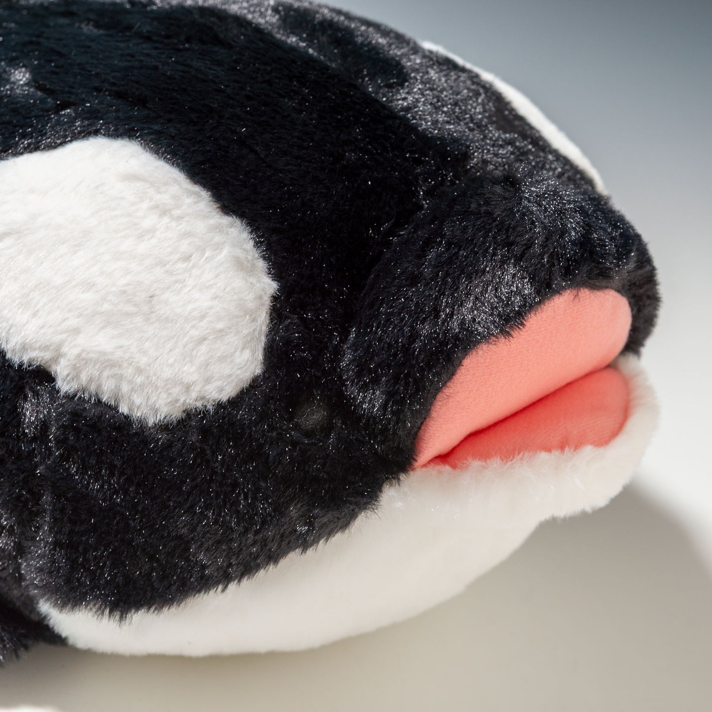 内藤デザイン研究所 ぬいぐるみ 海中散歩 もちだっこ クッション シャチ 右横顔