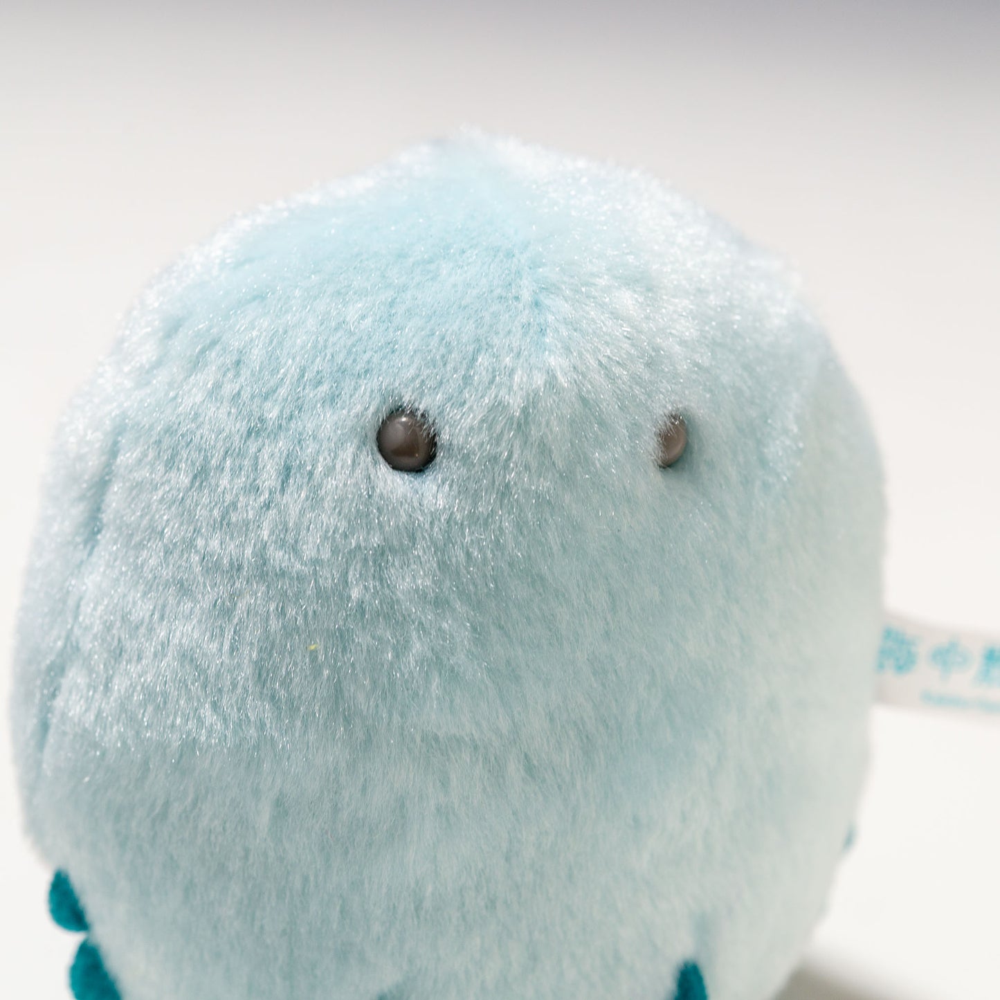 内藤デザイン研究所 ぬいぐるみ 海中散歩 ぽちゃまる クラゲシリーズ Sサイズ ウリクラゲ 右横顔