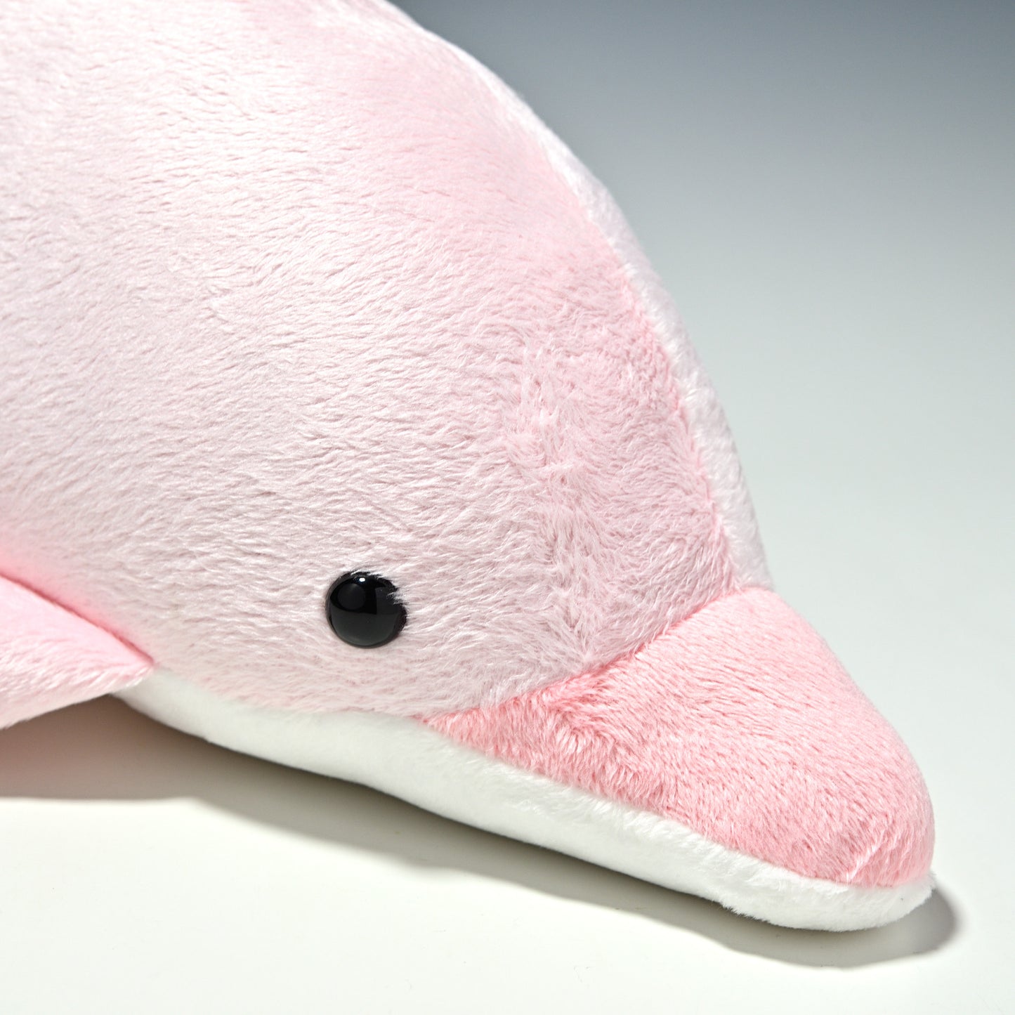 たけのこ TAKENOKO ぬいぐるみ NEW イルカ Mサイズ ピンク 16768 右横顔