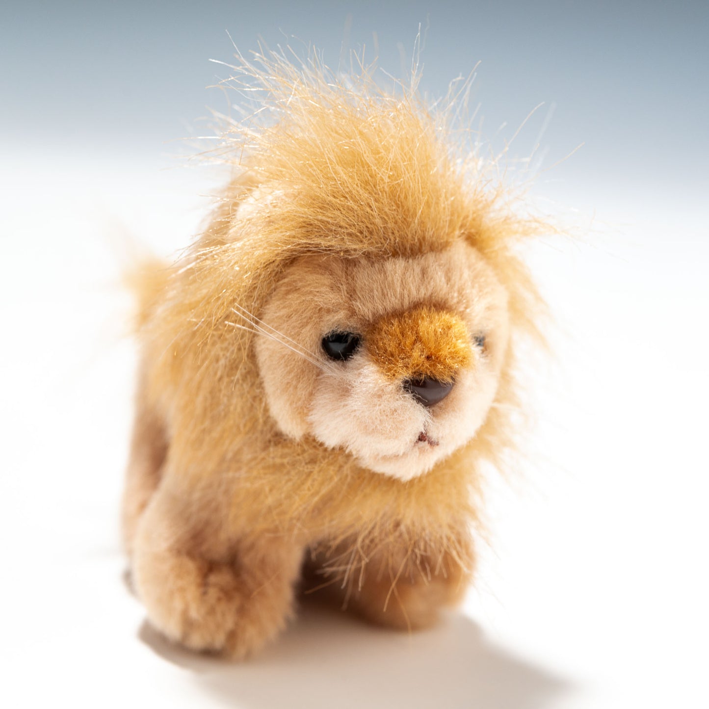 たけのこ TAKENOKO ぬいぐるみ サファリクラブ ボールチェーン ライオン 63918 右横顔