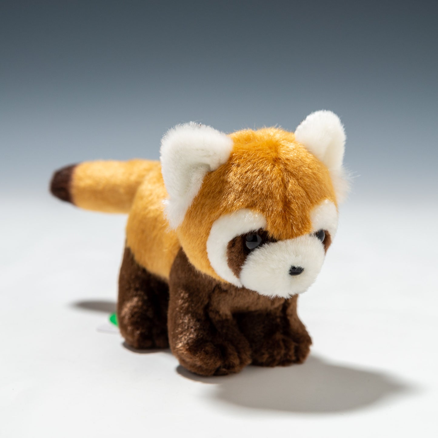 たけのこ TAKENOKO ぬいぐるみ サファリクラブ レッサーパンダ 85913 正面から