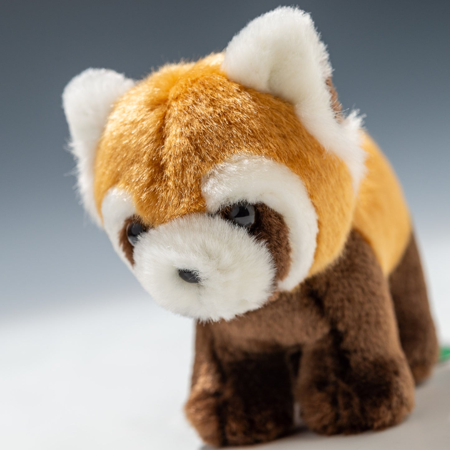 たけのこ TAKENOKO ぬいぐるみ サファリクラブ レッサーパンダ 85913 左横顔