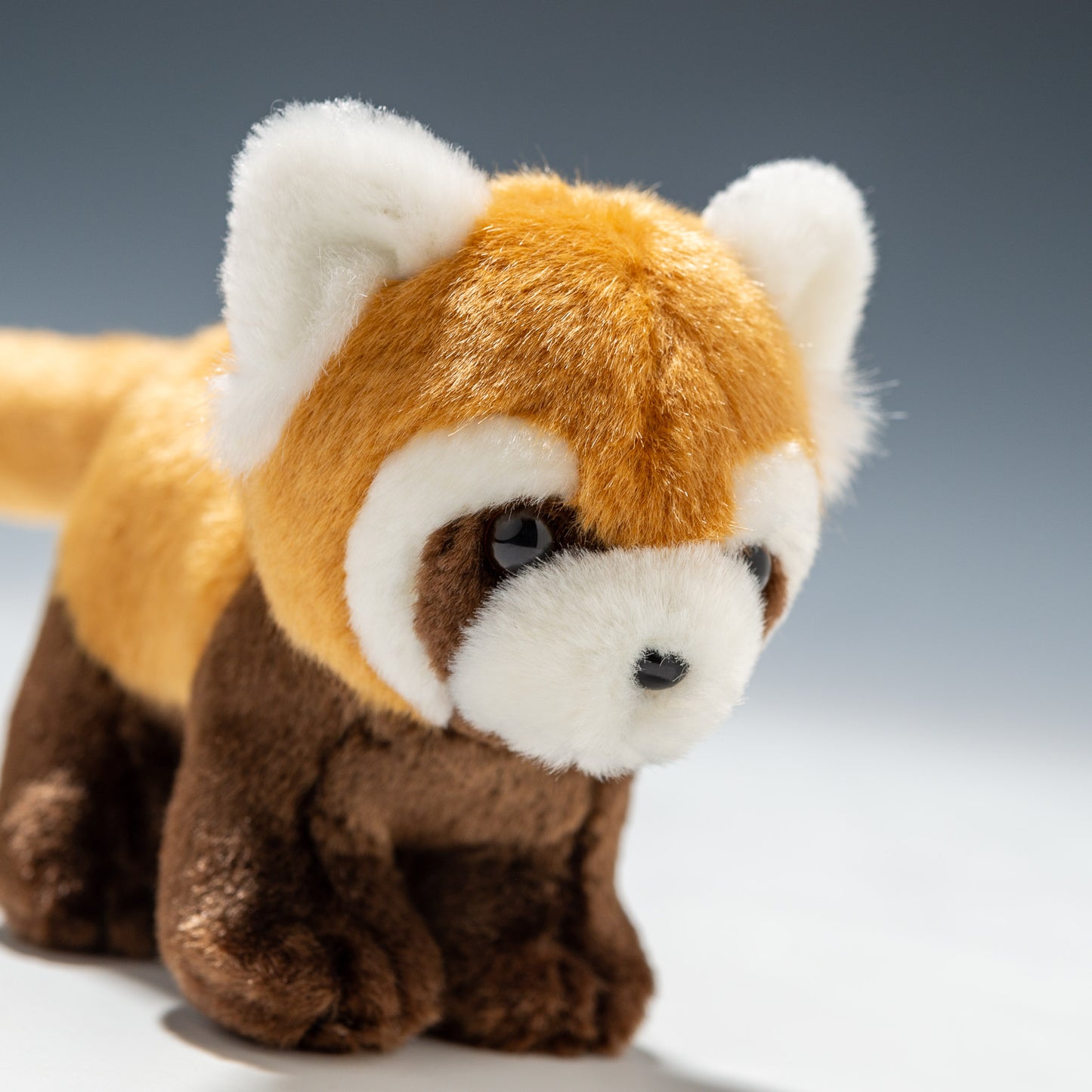 たけのこ TAKENOKO ぬいぐるみ サファリクラブ レッサーパンダ 85913 右横顔