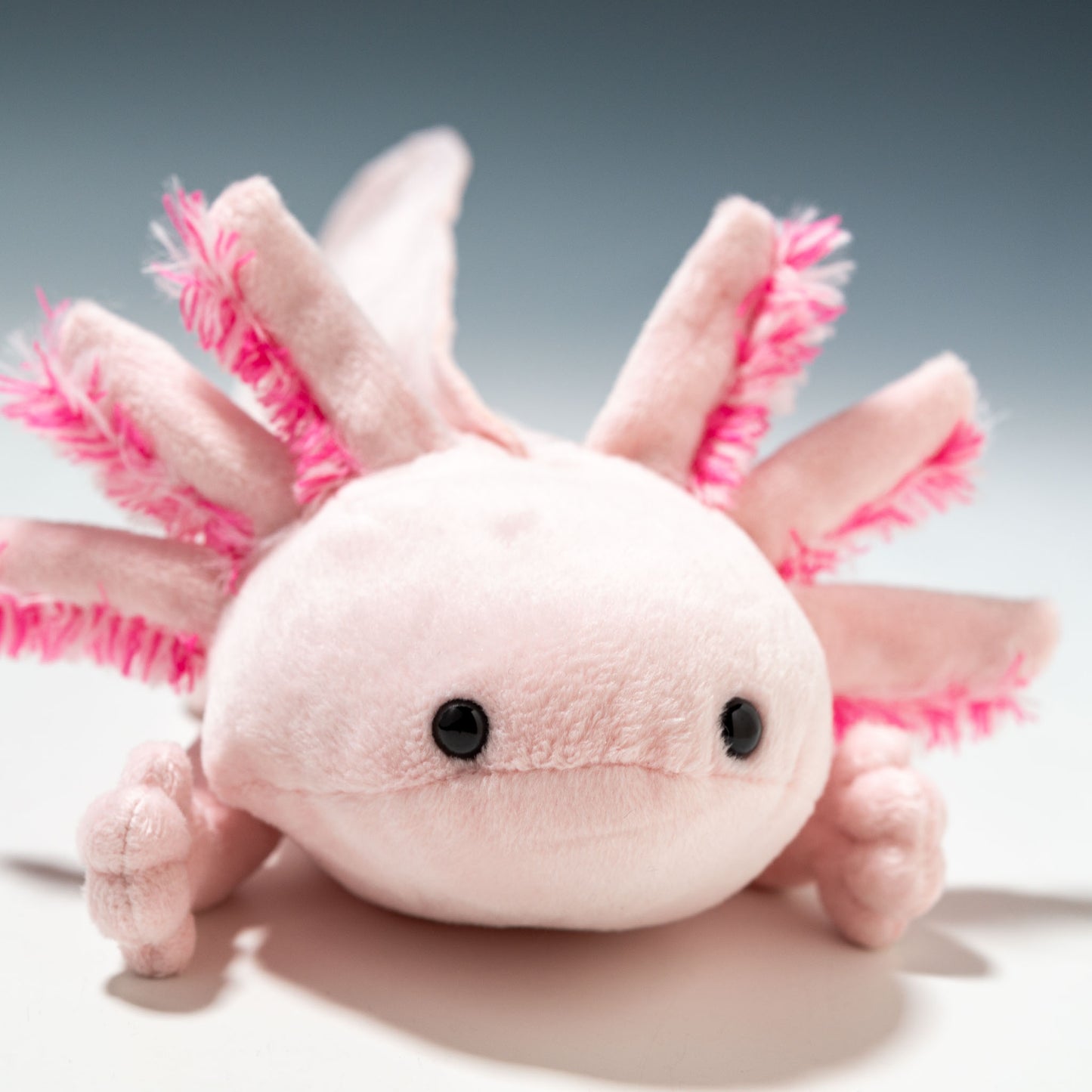 TST 太洋産業貿易 ぬいぐるみ 100+1 ワンオーワン ウーパールーパー SM326 右横顔