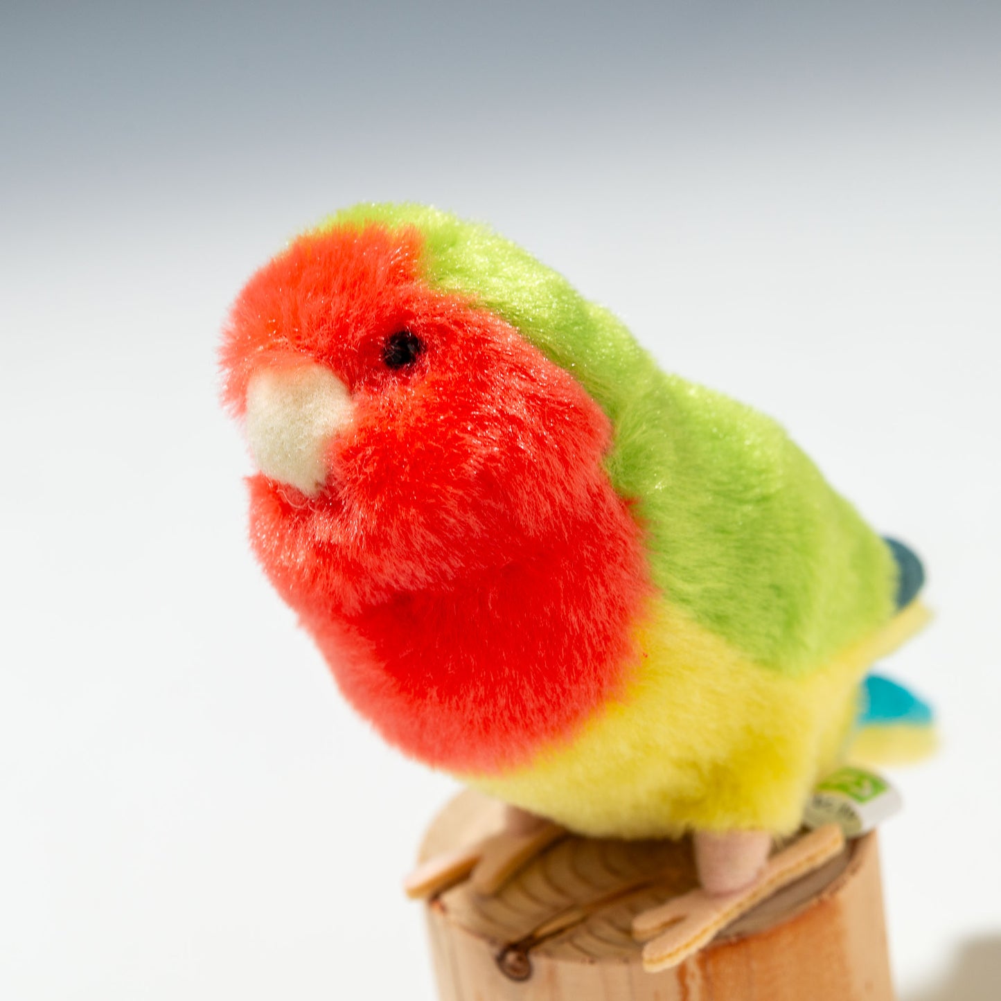 吉徳 ぬいぐるみ ことりのね コザクラインコ 180096 左横顔