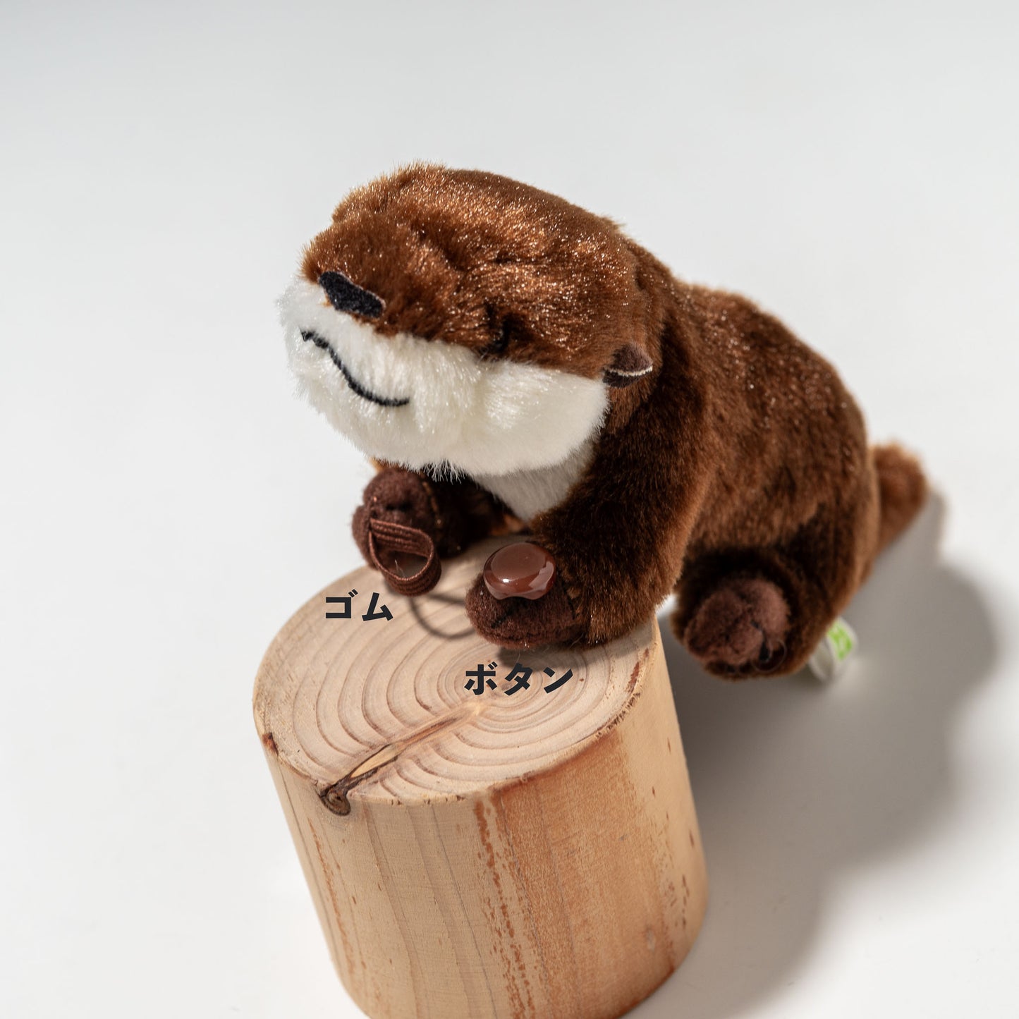 くっつきたい!カワウソ 180119 | 吉徳のゴムとボタン