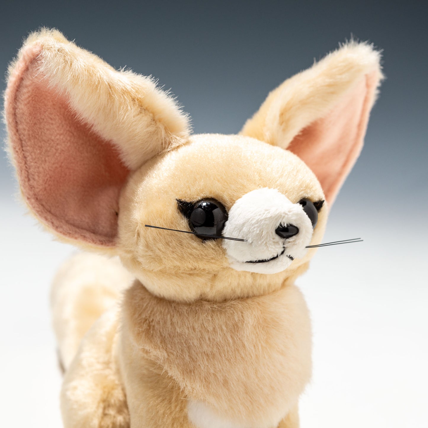 吉徳 ぬいぐるみ りくのなかまたち フェネック 180447 右横顔