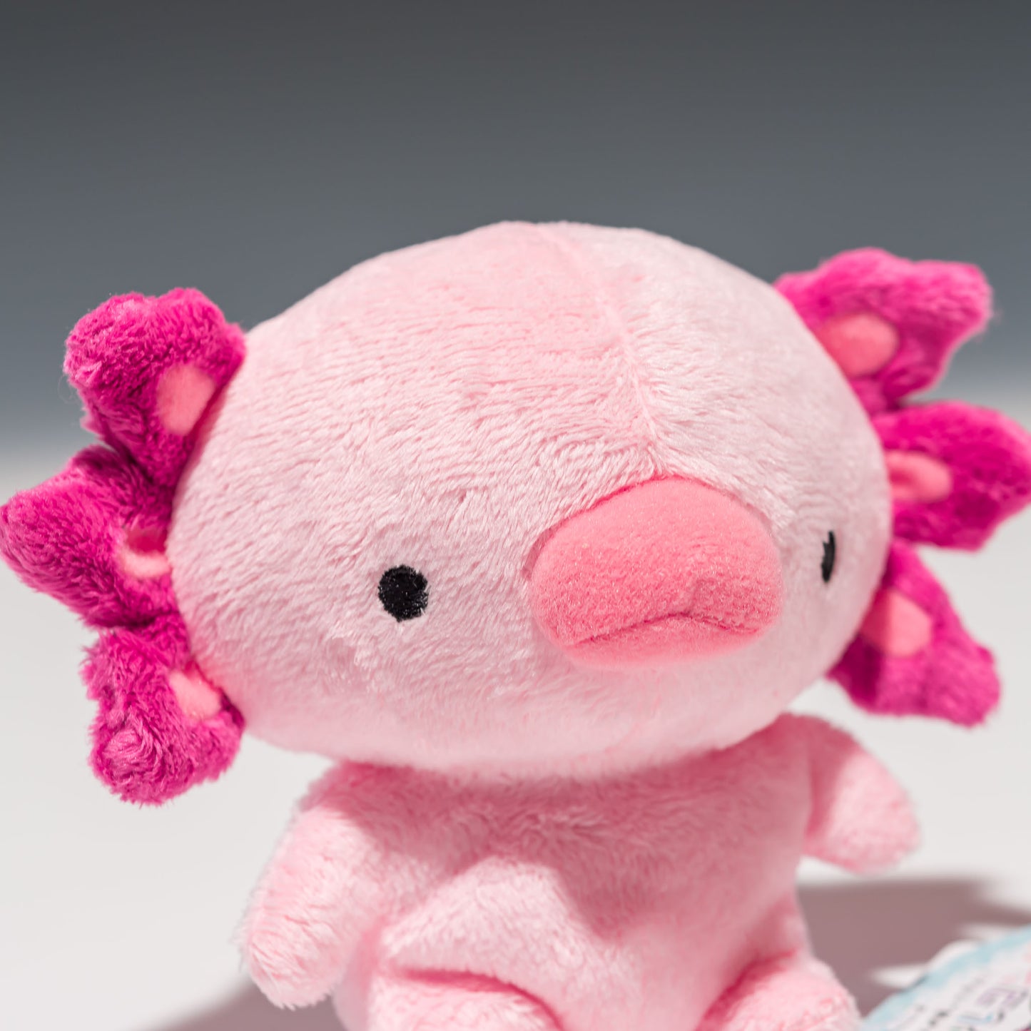 シナダ SHINADA ぬいぐるみ なつかしコンビ ウパ NCU-0098 顔のアップ