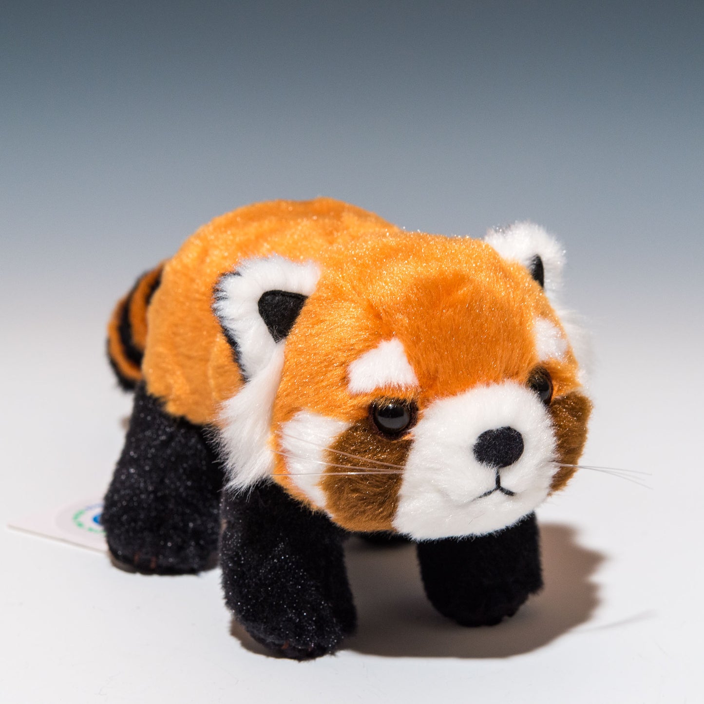 吉徳 ぬいぐるみ りくのなかまたち レッサーパンダの正面