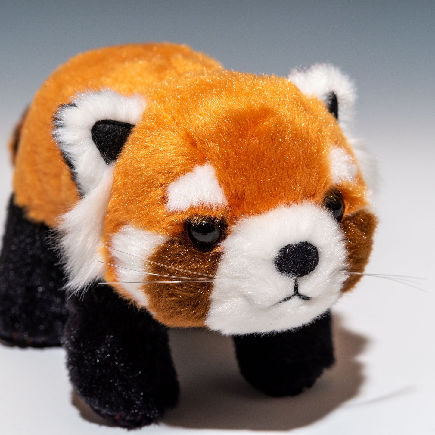吉徳 ぬいぐるみ りくのなかまたち レッサーパンダの右横顔
