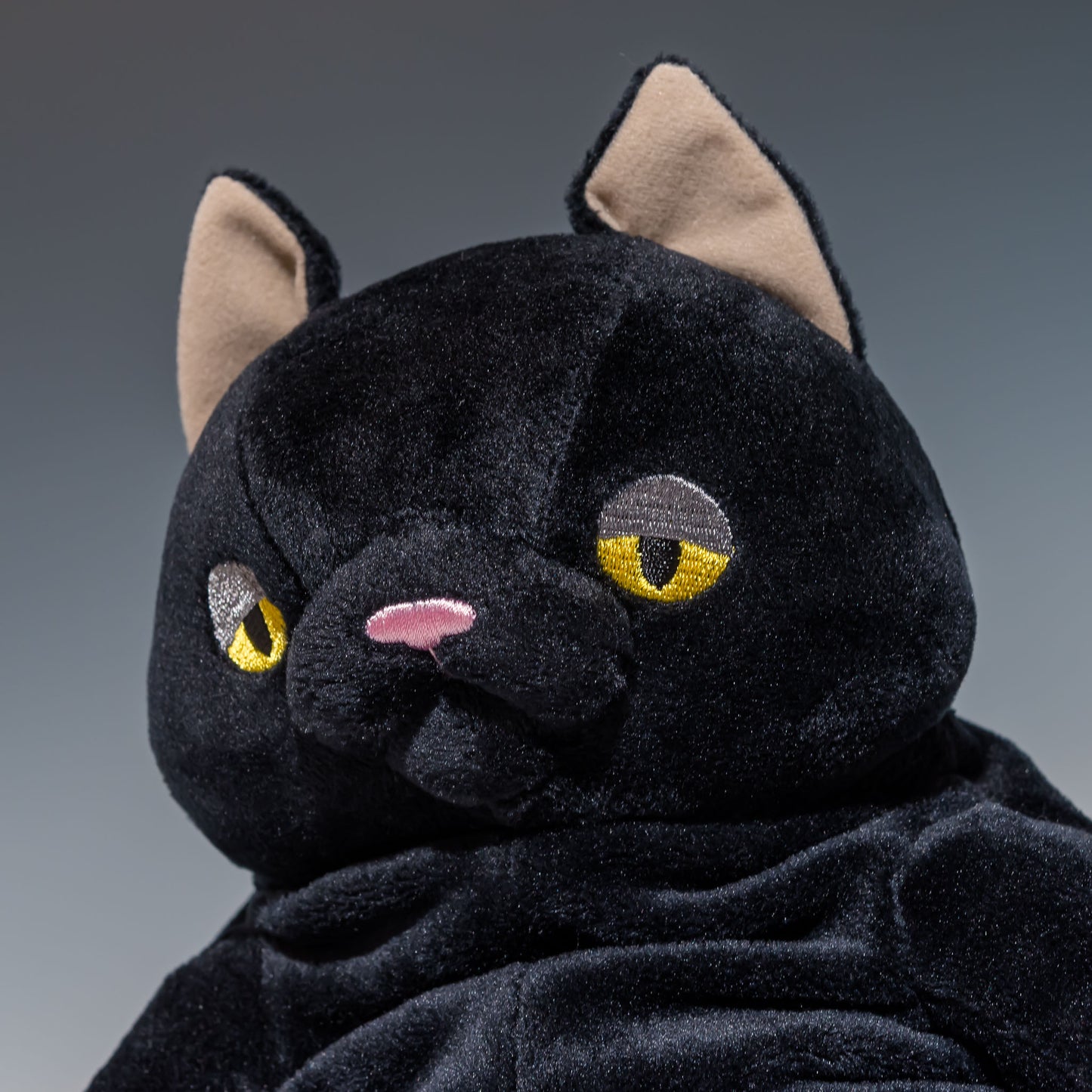 シナダ SHINADA ぬいぐるみ もちねこ クロ(L) MONE-0350B 左横顔