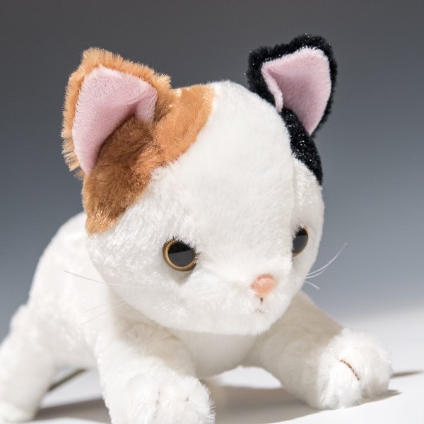 シナダ SHINADA ぬいぐるみ いっしょね みけねこ ISCM-0198 右横顔