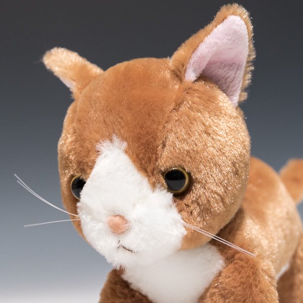 シナダ SHINADA ぬいぐるみ いっしょね ちゃしろねこ ISCC-0198 左横顔2