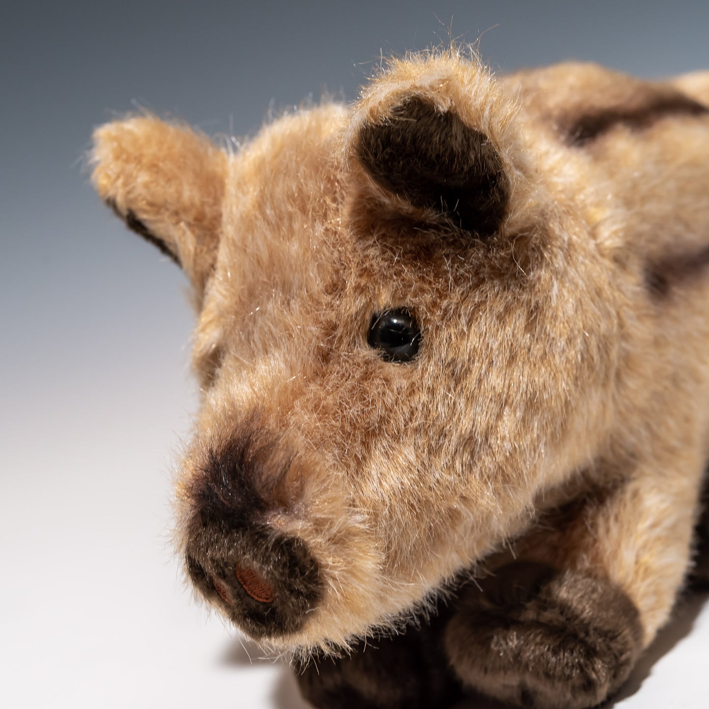 オリエンタルトーイ ぬいぐるみ いのしし M HF-220 左横顔