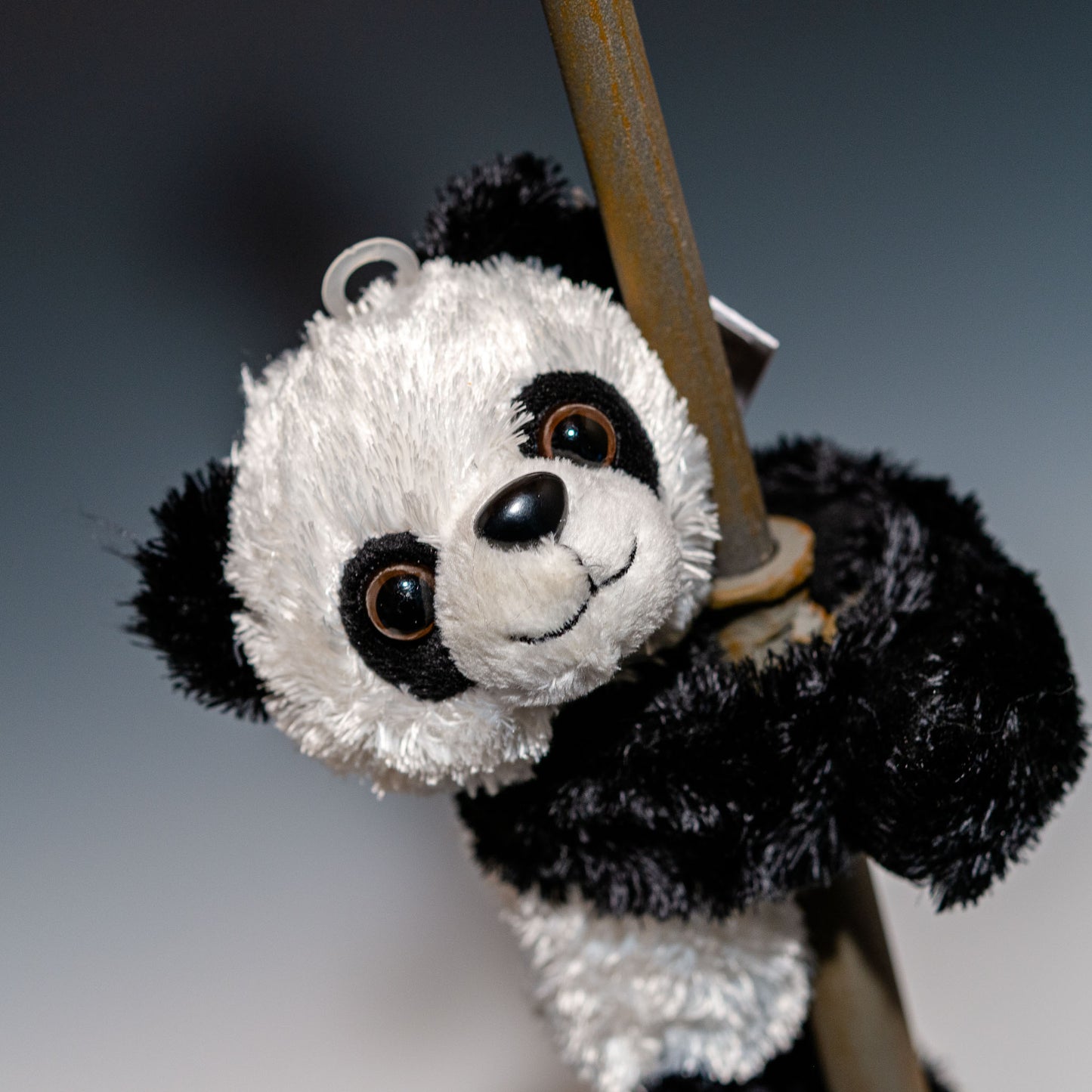 ワイルドリパブリック WILD REPUBLIC ぬいぐるみ 抱きつき パンダ 19558 顔のアップ