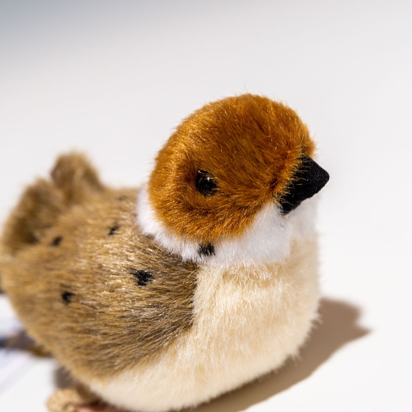 吉徳 ぬいぐるみ りくのなかまたち スズメ 180449 右横顔