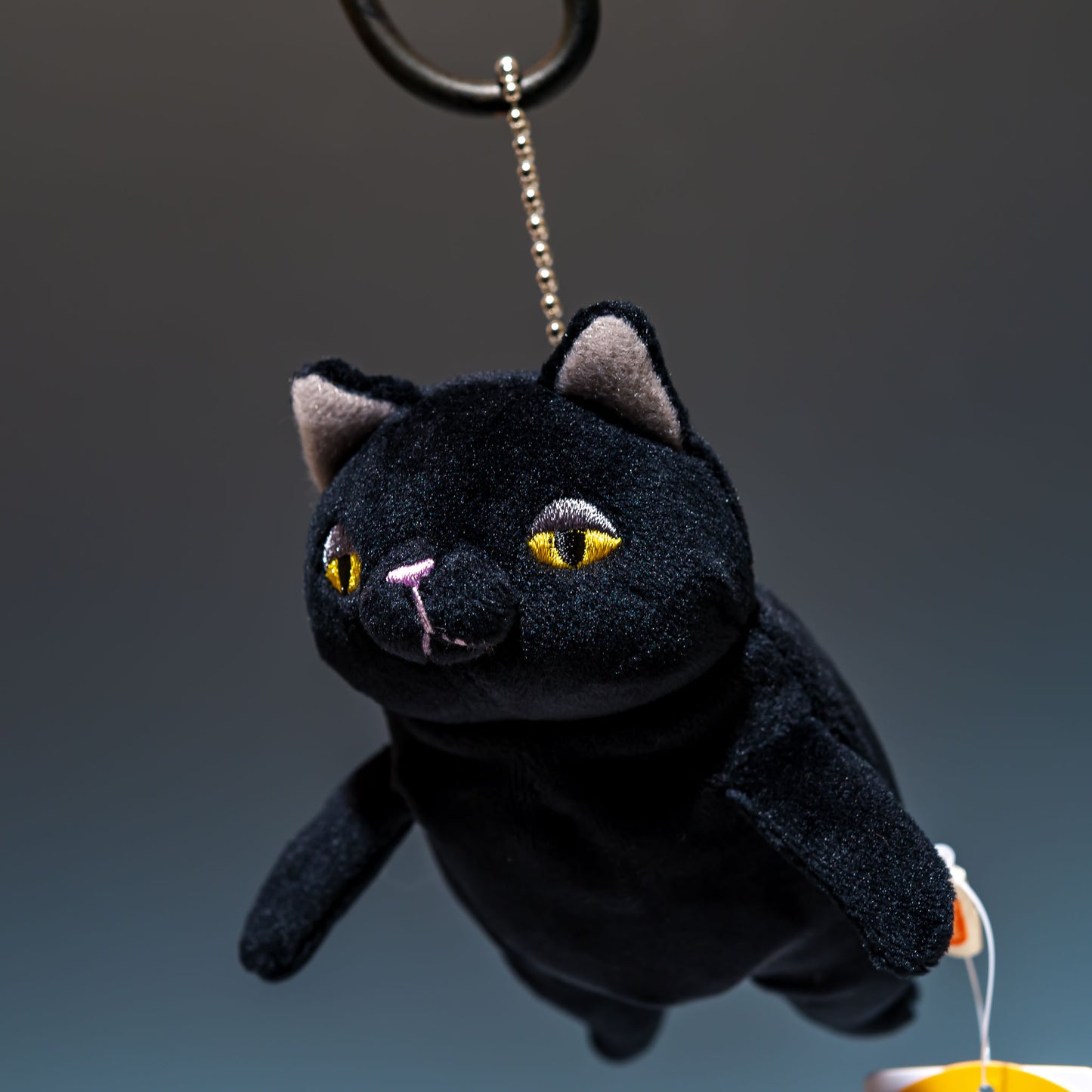 シナダ SHINADA ぬいぐるみ もちねこ クロ(mini) MONE-0088B 左横顔