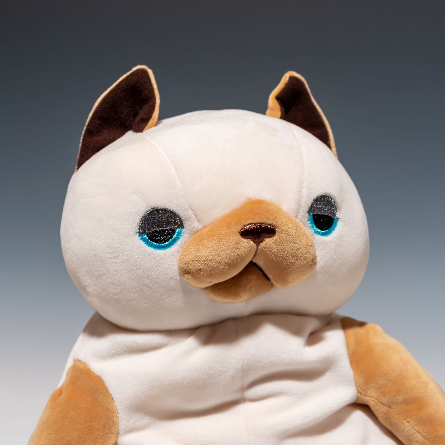 シナダ SHINADA ぬいぐるみ もちねこ シャム(L) MONE-0350S 右横顔