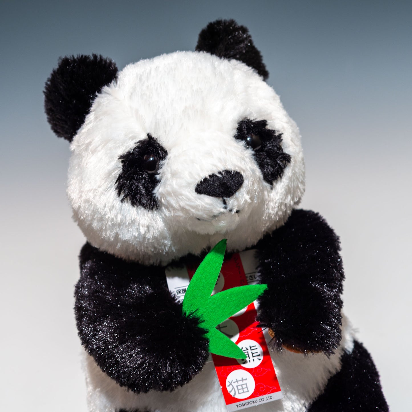吉徳 ぬいぐるみ りくのなかまたち シンフーパンダ M 180157 右横顔