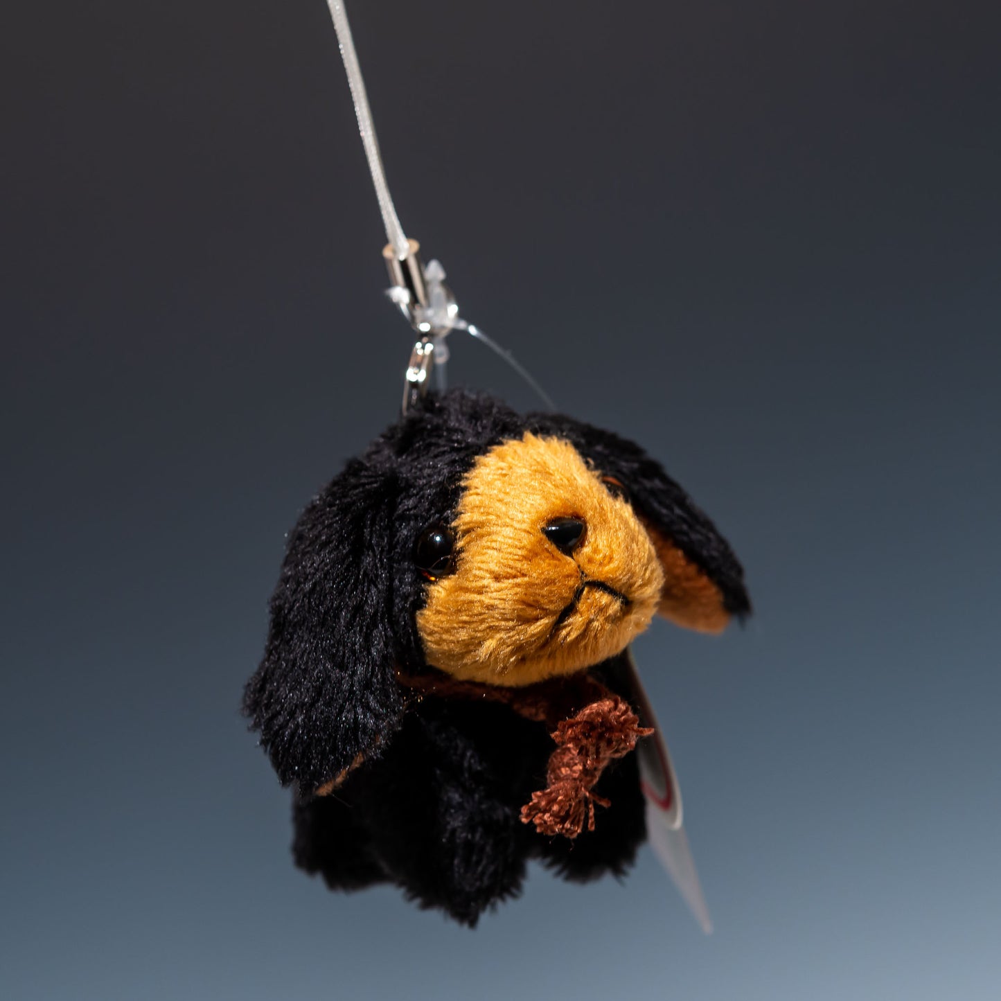 たけのこ TAKENOKO ぬいぐるみ フォンテーヌストラップ ダックスフント 黒 38022 右横顔