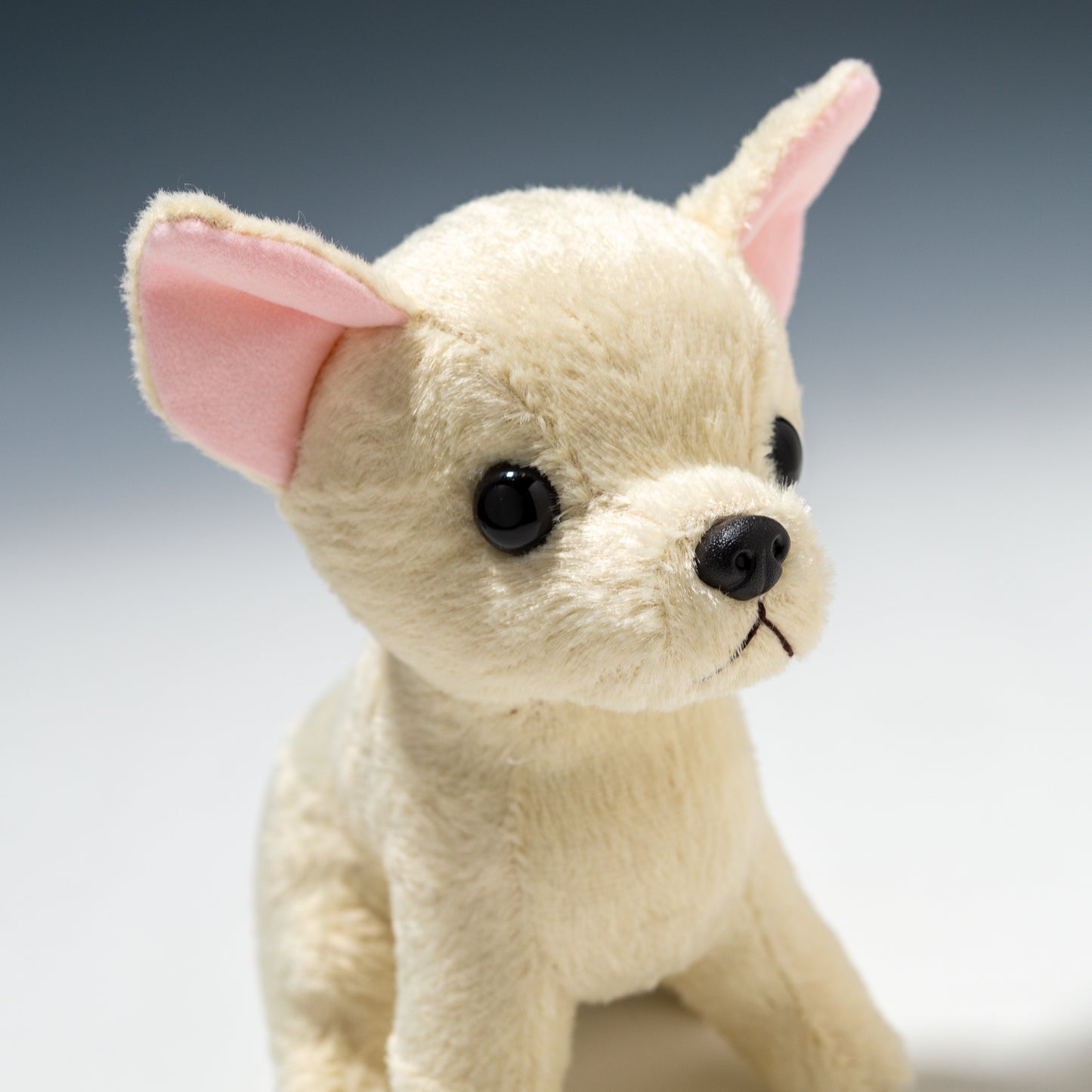 スターチャイルド STAR CHILD ぬいぐるみ チワワ アイボリー 1666 右横顔