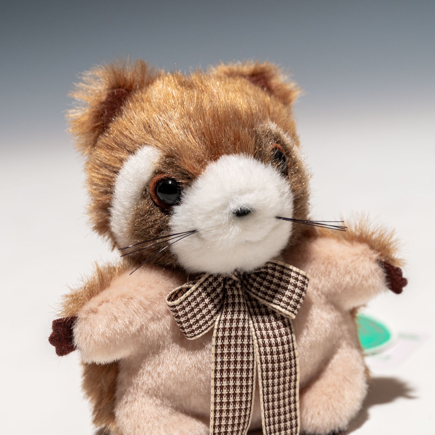 たけのこ TAKENOKO ぬいぐるみ プチプチらんど レッサーパンダ 茶 58416 右横顔