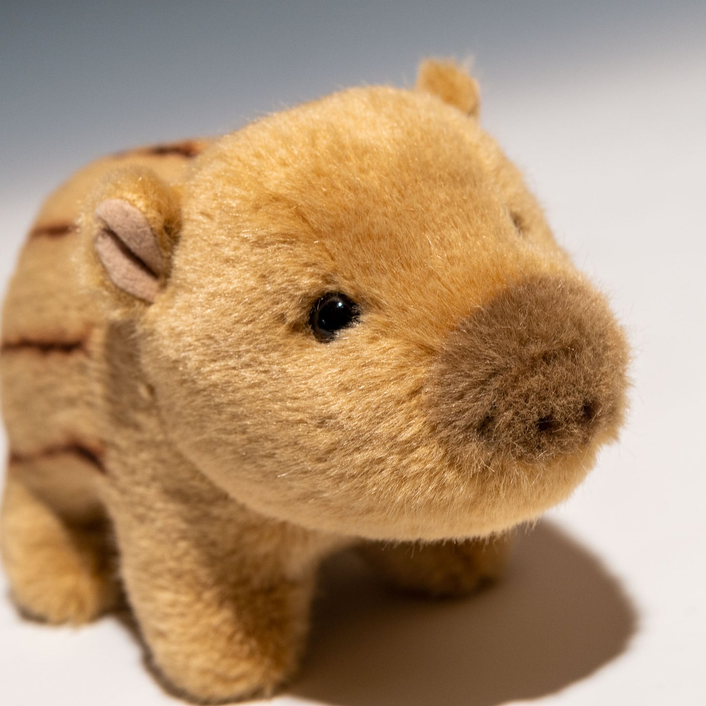 スターチャイルド STAR CHILD ぬいぐるみ うり坊 1671 右横顔