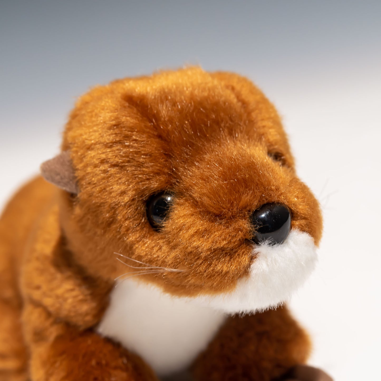 たけのこ TAKENOKO ぬいぐるみ マリンシリーズ カワウソ M ブラウン 14814 右横顔