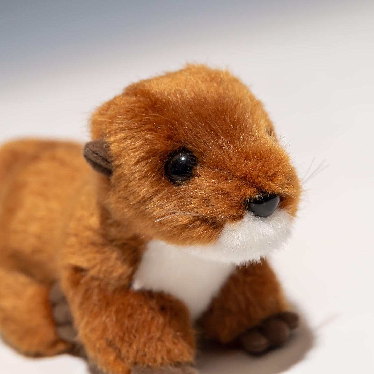 たけのこ TAKENOKO ぬいぐるみ マリンシリーズ カワウソ S ブラウン 80749 右横顔