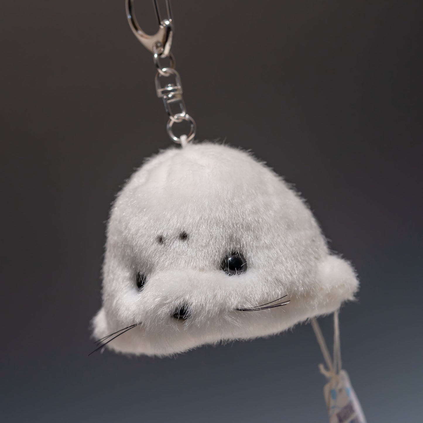 たけのこ TAKENOKO ぬいぐるみ マリンシリーズ プチキーチェーン プチアザラシ 55350 左横顔