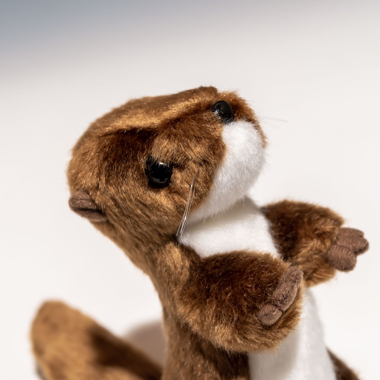 たけのこ TAKENOKO ぬいぐるみ マリンシリーズ カワウソ 立ち ぬいぐるみ 88123 右横顔