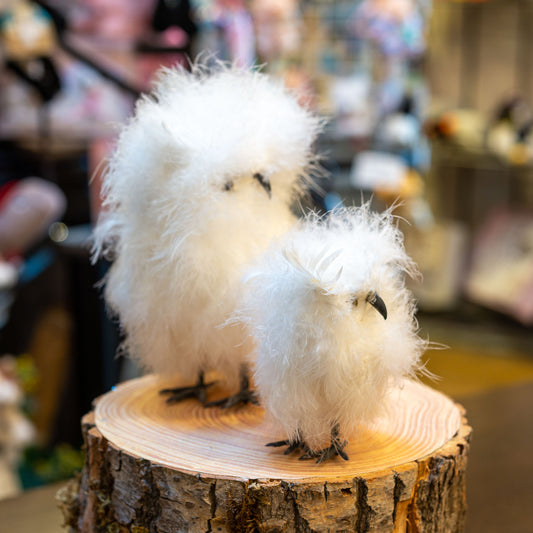 ダウンオウル S VP-02・L VP-01 | COVENT GARDEN コベントガーデンの左横