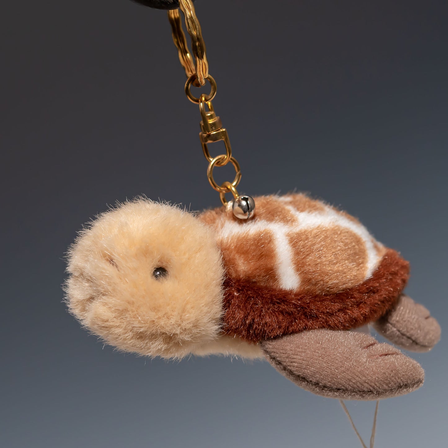 たけのこ TAKENOKO ぬいぐるみ マリンシリーズ プチキーチェーンカメ 茶 55809 左横から