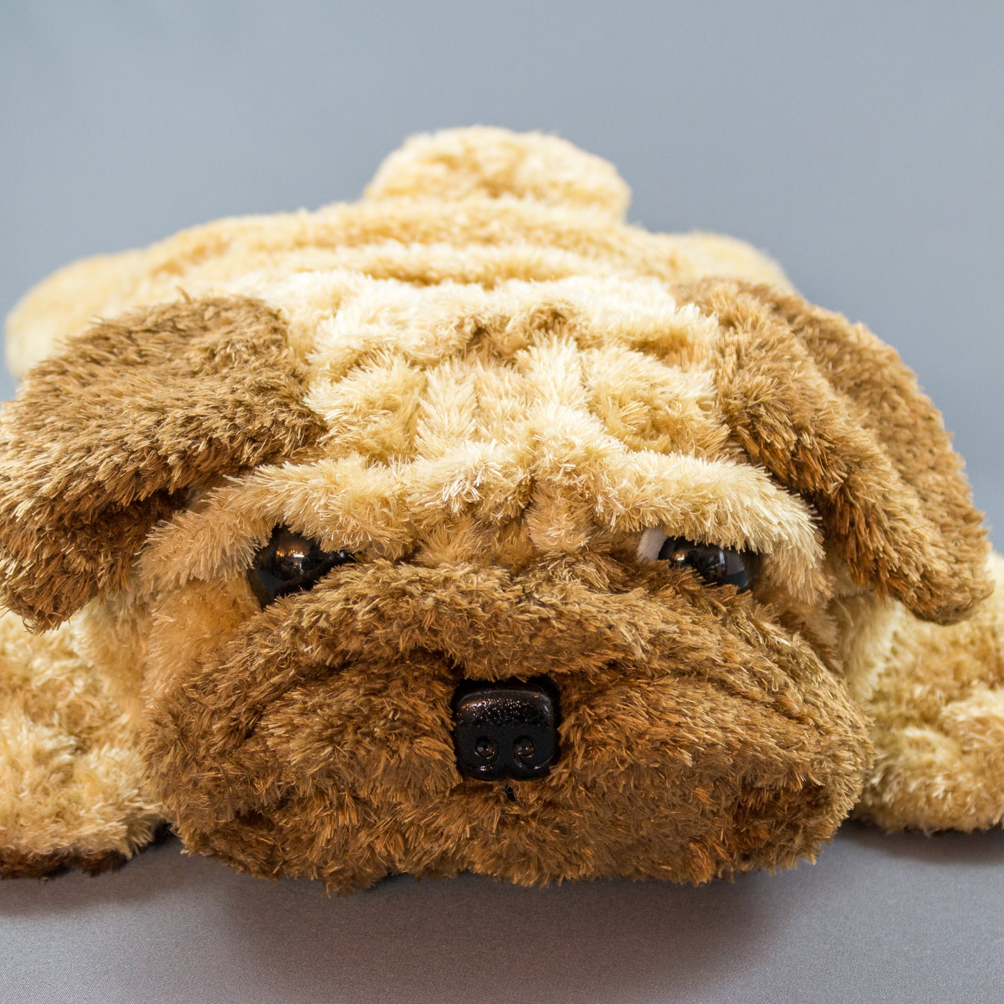 シナダ SHINADA ぬいぐるみ くるくるパグパグ L KRPG-0400 顔アップ