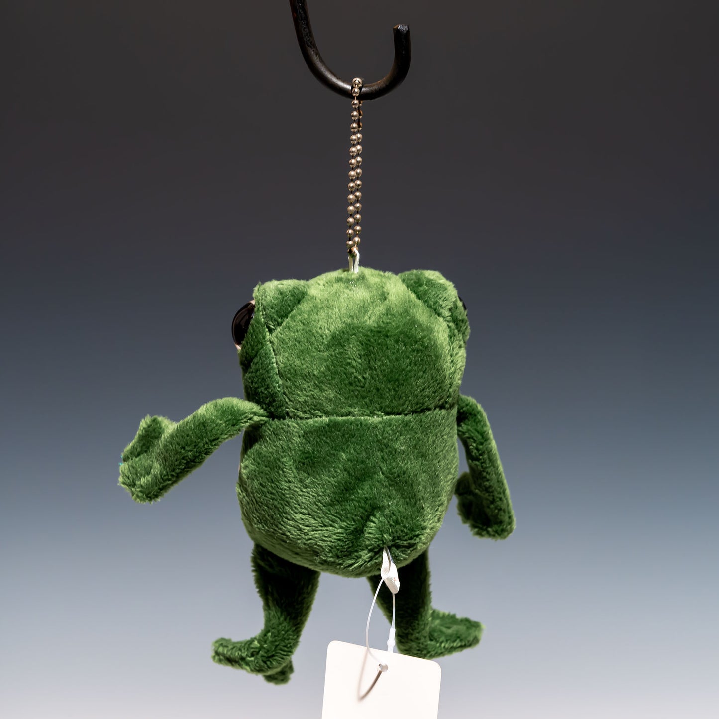 シナダ SHINADA ぬいぐるみ SMILE FROG(S)ダークグリーン SMFR-0068D 後ろ姿