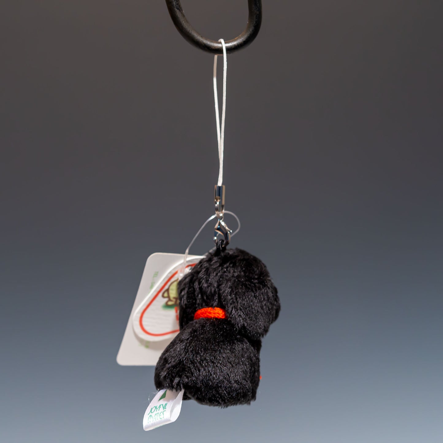 たけのこ TAKENOKO ぬいぐるみ フォンテーヌストラップ ラブラドール 38029 後ろ姿