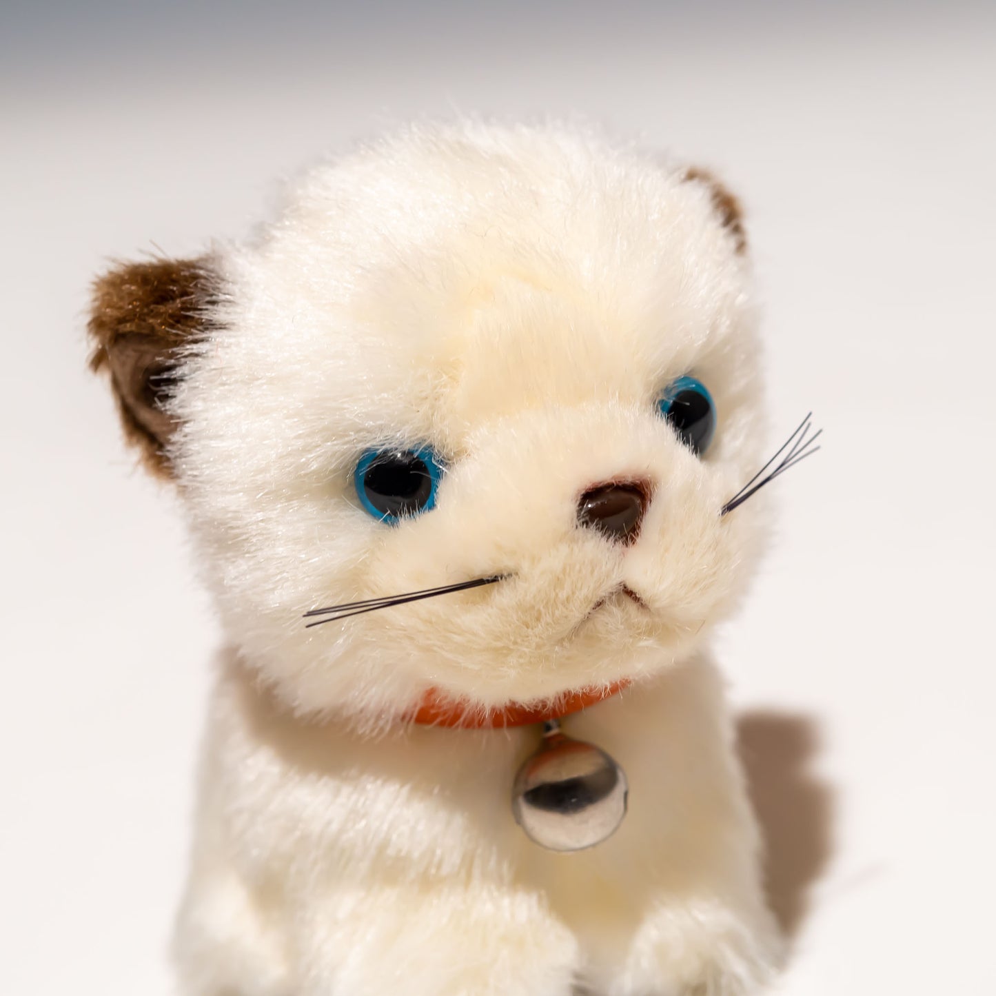 たけのこ TAKENOKO ぬいぐるみ キャンディシェリー シャムネコ 48214 右横顔