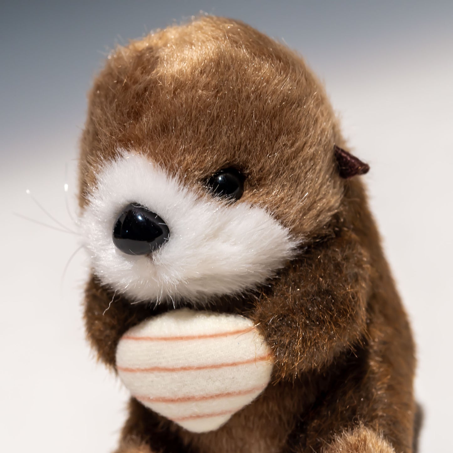 たけのこ TAKENOKO ぬいぐるみ マリンシリーズ お座りラッコ (ミニ) 88815 左横顔