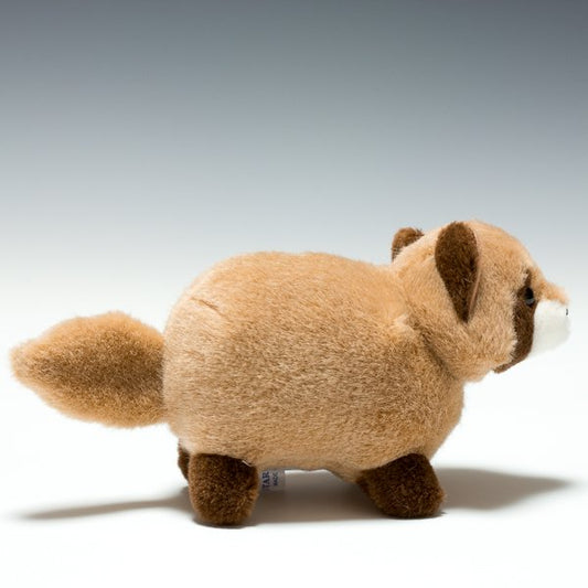 スターチャイルド STAR CHILD ぬいぐるみ 落合タヌキ 1457 右横