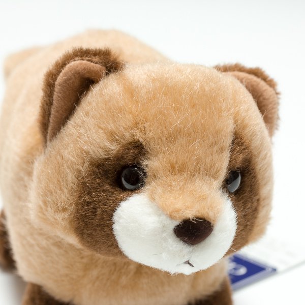 スターチャイルド STAR CHILD ぬいぐるみ 落合タヌキ 1457 右横顔