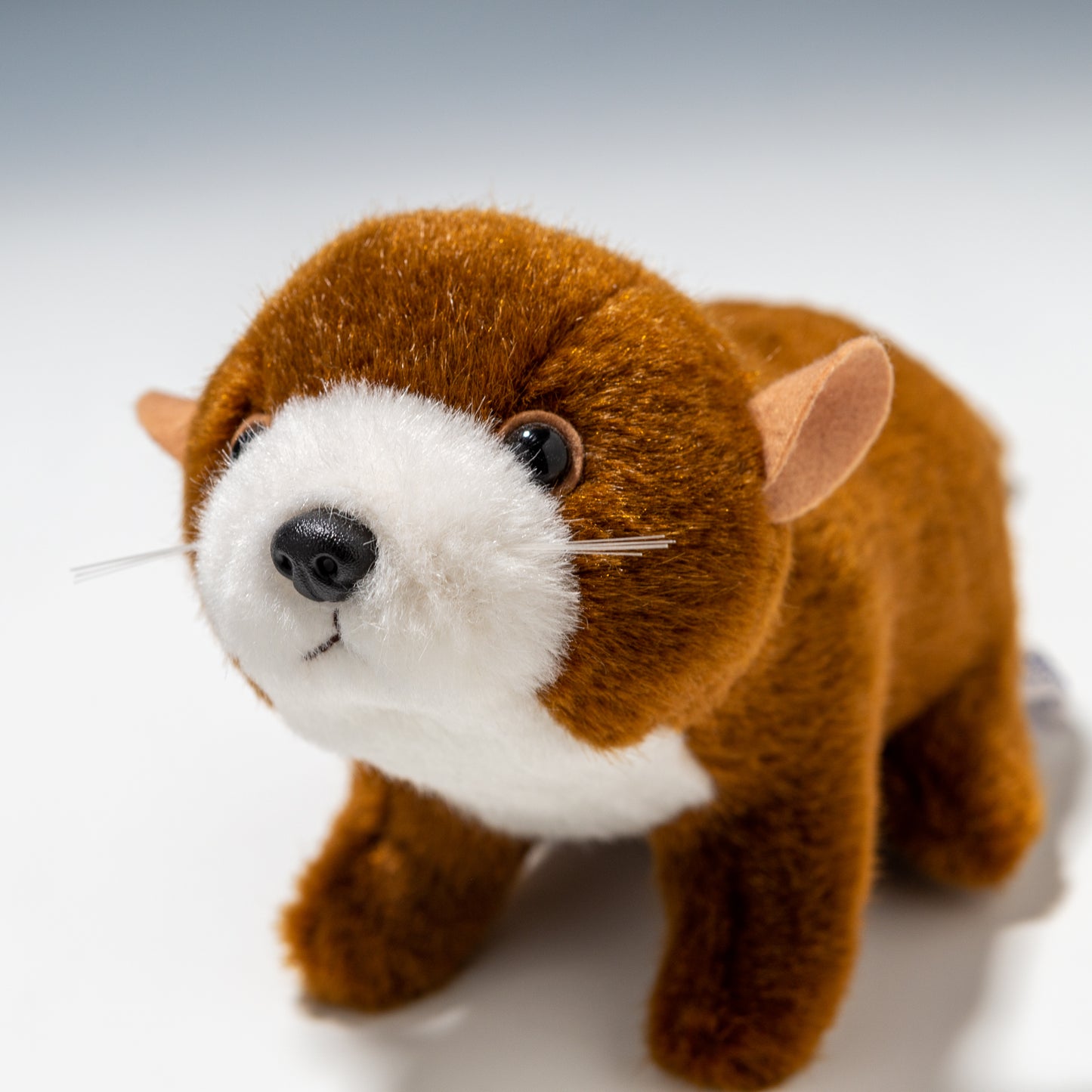 スターチャイルド STAR CHILD ぬいぐるみ カワウソ 1347 左横顔