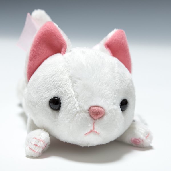 シナダ SHINADA ぬいぐるみ もっとあそんでにゃんこ(M)白 MAN-0098W アップ