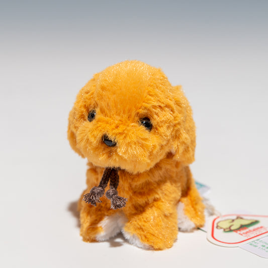 たけのこ TAKENOKO ぬいぐるみ キャンディフォンテーヌ ゴールデンレトリバー 48221 正面