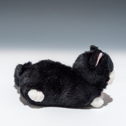 たけのこ TAKENOKO ぬいぐるみ プチどりーむ ミニ (A) 黒ネコ 95033 右横