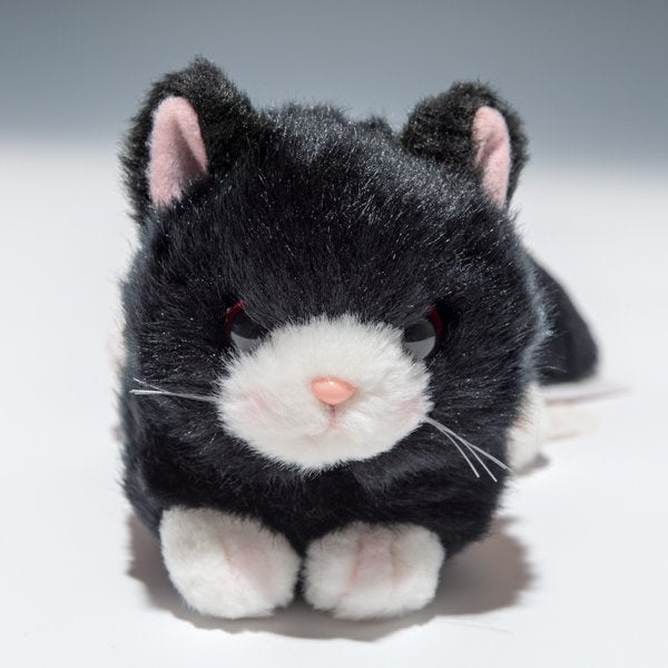 たけのこ TAKENOKO ぬいぐるみ プチどりーむ ミニ (A) 黒ネコ 95033 アップ