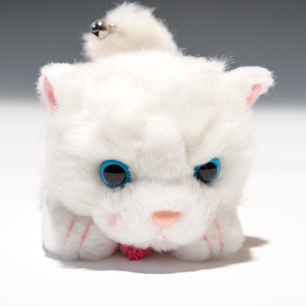 たけのこ TAKENOKO ぬいぐるみ プチシェリー這い ペルシャネコ 58848 アップ