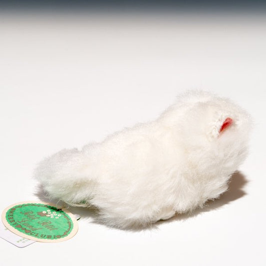 たけのこ TAKENOKO ぬいぐるみ プチプチらんど (A) ペルシャネコ 58455 右横